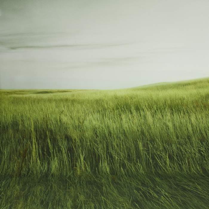 Фоны - walimex pro Photo Motif Background Grass, 3x6m - быстрый заказ от производителя