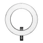 walimex pro LED Ringlight 380 Bi Color RLL-380BV - Ring Light