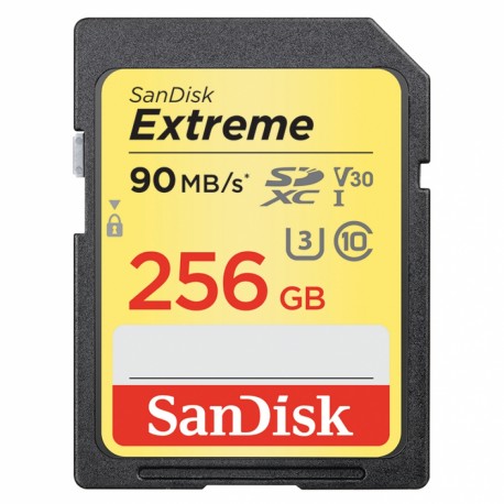Atmiņas kartes - SanDisk Extreme SDXC UHS-I V30 90MB/s 256GB (SDSDXVF-256G-GNCIN) - buy today in store and with delivery
