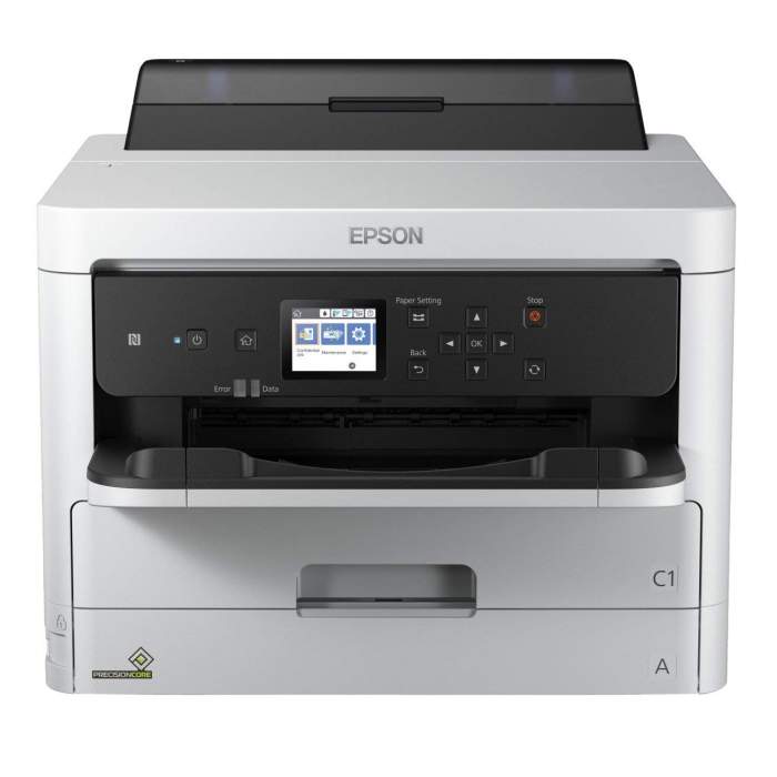 Printers and accessories - Epson Printer WF-C5290DW Colour, Inkjet, Printer, A4, Wi-Fi, Grey/ Black - quick order from manufacturer