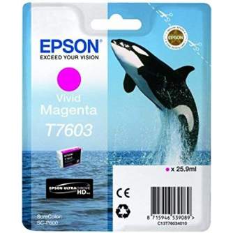 Принтеры и принадлежности - Epson T7603 Ink Cartridge, Magenta - быстрый заказ от производителя