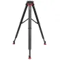Video Tripods - Sachtler Flowtech 100 MS Tripod 5585 - quick order from manufacturer