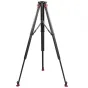 Video Tripods - Sachtler Flowtech 100 MS Tripod 5585 - quick order from manufacturer