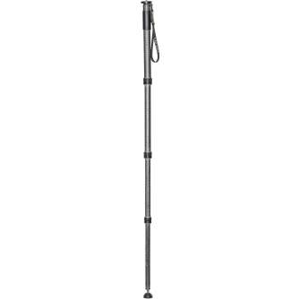 Monopods - Gitzo monopod GM4542 - quick order from manufacturer