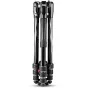 Foto statīvi - Manfrotto tripod kit Befree Advanced MKBFRTA4BK-BH, black - быстрый заказ от производителя