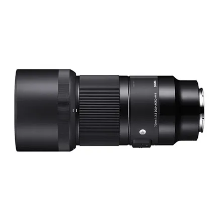 Sigma 70mm f/2.8 DG Macro Art lens for Sony