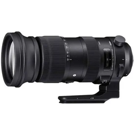Sigma 60-600mm f/4.5-6.3 DG OS HSM Sports lens for Nikon