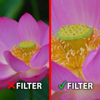 Makro fotografēšana - Marumi Filter DHG Macro Achro 330 + 3 58mm - ātri pasūtīt no ražotāja