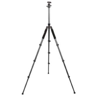 Photo Tripods - Nest Tripod NT-264K + Ball Head - quick order from manufacturer
