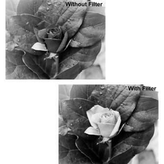 Color Filters - B+W Filter F-Pro 090 Red filter -590- MRC 58mm - quick order from manufacturer