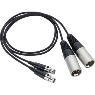 Audio cables, adapters - Zoom TXF-8 TA3 to XLR Cable for F8/F8n Multi-Track Field Recorder - quick order from manufacturer