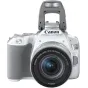 Больше не производится - Canon EOS 250D + 18-55mm IS STM Kit, white