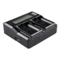 Зарядные устройства - Newell DC-LCD two-channel charger for NP-FP, NP-FH, NP-FV series batteries - быстрый заказ от производител