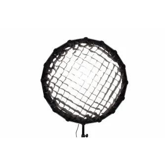 Gaismas veidotāji - Nanlite GRID:MATCH WITH FORZA 60 - ātri pasūtīt no ražotāja