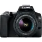 DSLR Cameras - Canon EOS 250D 18-55mm III (Black) - buy today in store and with delivery