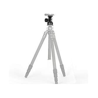 Tripod Accessories - Sunwayfoto DT-02 Monopod head Arca-Swiss 12Kg - buy today in store and with delivery