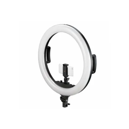 <br /> <b>Notice</b>: Trying to get property of non-object in <b>/var/www/vhosts/masterfoto.lv/httpdocs/tools/smarty/sysplugins/smarty_internal_templatebase.php(157) : eval()'d code</b> on line <b>201</b><br /> 