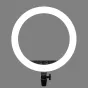 Ring Light - Godox LR150 LED dimmable bi-color ring light with stand 240F - 45cm / 3000K-6000K - buy today in Master Foto store and with delivery Best choise selected by experts