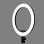 Ring Light - Godox LR150 LED dimmable bi-color ring light with stand 240F - 45cm / 3000K-6000K - buy today in Master Foto store and with delivery Best choise selected by experts