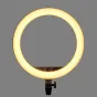 LED gredzenveida lampas - Godox LR150B LED gredzenveida dimējama bi-color lampa ar statīvu 240F - 45cm - perc šodien Master Foto veikalā un ar piegādi Profesionāļu labākā izvēle