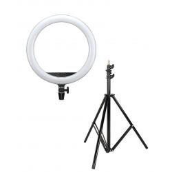 LED кольцевая лампа - Godox LR150 LED dimmable bi-color ring light with stand 240F - 45cm / 3000K-6000K - купить сегодня в мага