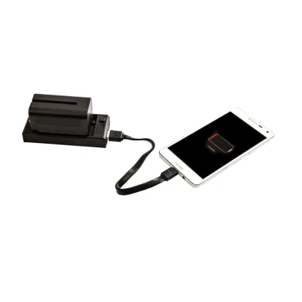 NANLITE CN-58 2-1 CHARGER FOR NP STYLE BATTERY CN-58