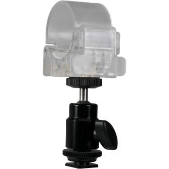 LED Gaismas nūjas - NANLITE T12 TUBE HOLDER WITH MINI BALL HEAD HD-T12+BH - ātri pasūtīt no ražotāja