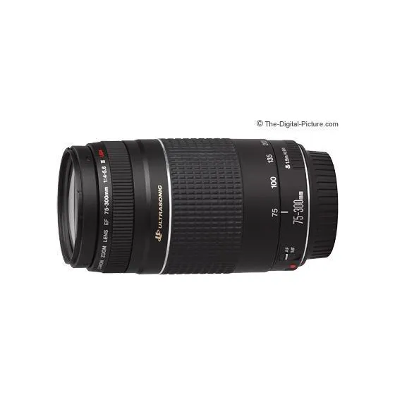 Canon EF 75-300mm f/4-5.6 DC III