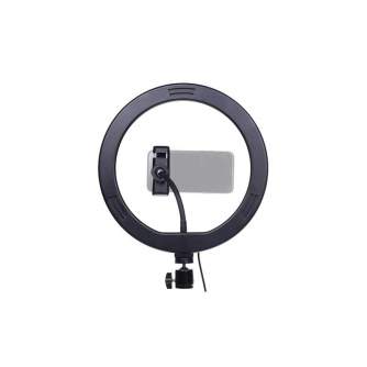 Ring Light - StudioKing SK-K191 LED dimmable bi-color LED ring light with stand and smartphone - buy today in store and with delivery