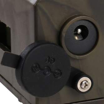 Time Lapse камеры - Braun Wild Camera Black300 - быстрый заказ от производителя