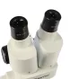 Mikroskopi - Byomic Beginners Stereo Microscope 20x - ātri pasūtīt no ražotāja