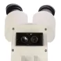 Microscopes - Byomic Stereo Microscope BYO-ST2 - quick order from manufacturer
