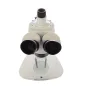 Microscopes - Byomic Stereo Microscope BYO-ST341 LED - quick order from manufacturer