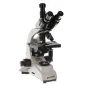 Mikroskopi - Byomic Study Microscope BYO-500T - ātri pasūtīt no ražotāja