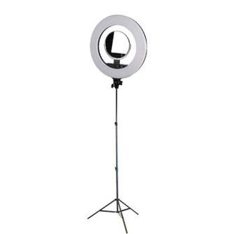 Ring Light - StudioKing LED Ring Lamp Set LED-480ASK with Light Stand - quick order from manufacturer