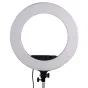 LED кольцевая лампа - StudioKing LED Ring Lamp Set LED-480ASK with Light Stand - быстрый заказ от производителя