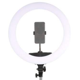 Ring Light - StudioKing LED Ring Lamp Set 65W LR-650 - quick order from manufacturer