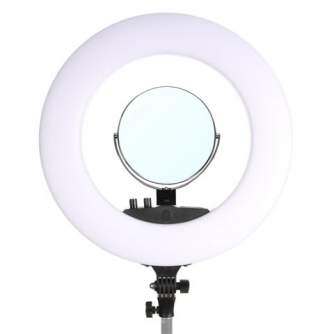LED Gredzenveida lampas - StudioKing LED Ring Lamp Set 48W LR-480 - ātri pasūtīt no ražotāja