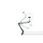 LED Gredzenveida lampas - Puluz Foldable arm stand 10 inch 26cm bi-color LED Ring Vlogging Video Light Live PKT3090B - купить се