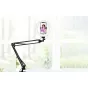 LED gredzenveida lampas - Puluz Foldable arm stand + 8 inch 20cm bi-color LED Ring Vlogging Video Light Live PKT3089B - perc šodien veikalā un ar piegādi