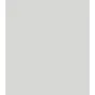 Backgrounds - Bresser SBP25 paper Rol 2.00x11m foto grey - quick order from manufacturer