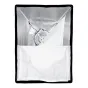 Softboksi - Godox SB-GUSW6090 Umbrella style grid softbox with bowens mount 60x90cm - ātri pasūtīt no ražotāja