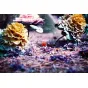 Lomography LomoChrome Purple film 400 ISO with rich purple tones, showcasing vibrant plum, violet, and earthy red hues in a dreamy, psychedelic analog effect on 35mm format