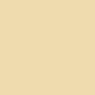 Backgrounds - Bresser SBP15 paper background roll 2.00x11m beige - quick order from manufacturer