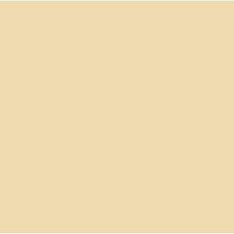 Backgrounds - Bresser SBP15 paper background roll 2.00x11m beige - buy today in store and with delivery