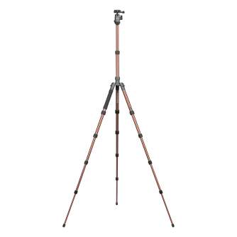 Photo Tripods - Fotopro X-go Gecko tripod with ball head FPH-42Q - grey-brown - quick order from manufacturer