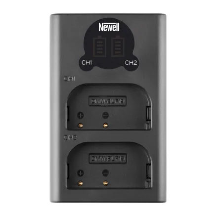 Newell DL-USB-C dual channel charger for DMW-BLF19
