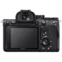 Photo & Video Equipment - Sony Alpha 7R IV Camera Body rental