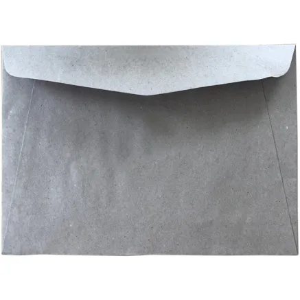 FOCUS ENVELOPE 114X162 C6 100G NATURE 1000 PCS 932106