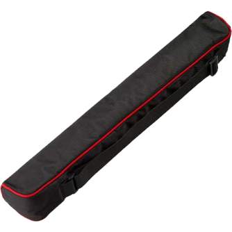 Camera Bags - Ricoh Theta Z1 Semi Hard Case TS-2 - quick order from manufacturer